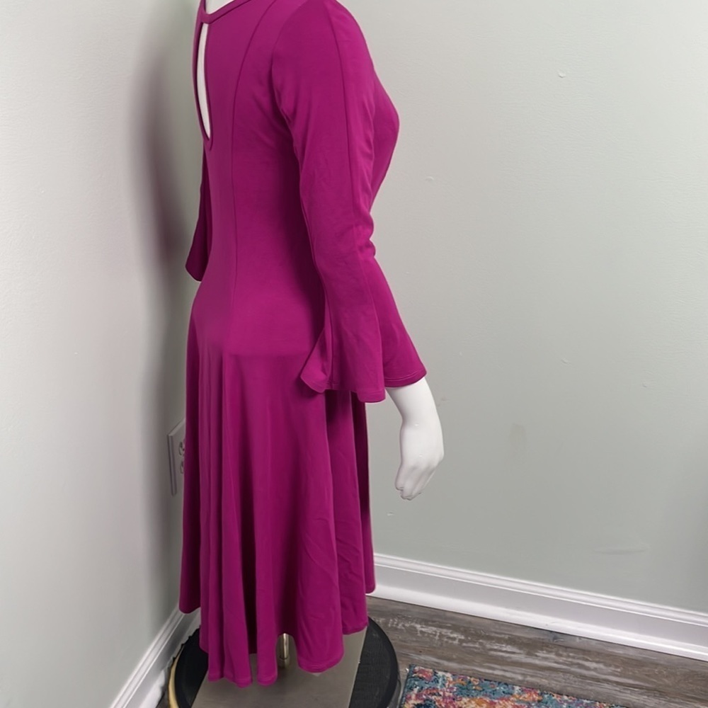 Yoana Baraschi Pink Raspberry Dress - Picture 4 of 9